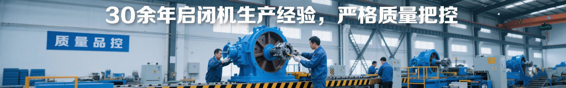 企業(yè)實力